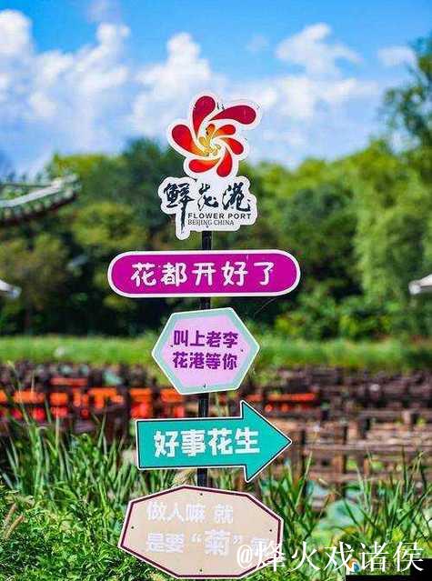 青青草青娱乐：畅享绿色生活与精彩影音体验